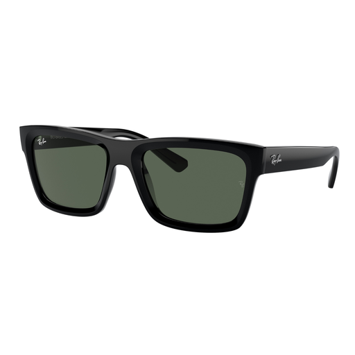 [RB4396 667771] RAYBAN 4396 667771 (WARREN)