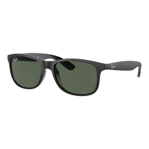 RAYBAN 4202 606971 55 (ANDY)